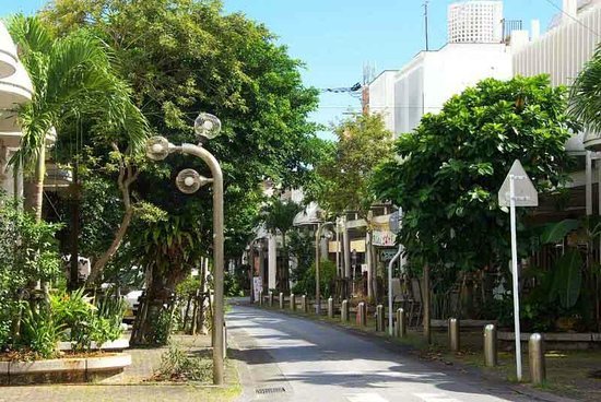 🛍️ 중앙공원 거리 (센트럴 파크 애비뉴) 이미지 1